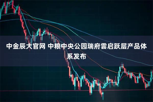 中金辰大官网 中粮中央公园瑞府雲启跃层产品体系发布