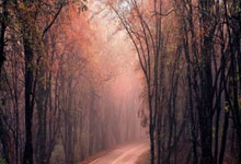 股票上市的基本条件:证券龙头股票排名前十-重磅药品销量破百亿 创新药“一哥”持续盈利仍存隐忧