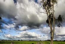 股票怎么上杠杆:股票能网上开户嘛-历史性时刻！寒武纪跨越“高山” 海光信息拟构建“平台型航母” 龙芯中科还在“战略性亏损”