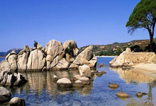 什么是炒股加杠杆融资:股票怎么在手机上交易-券业收业绩大红包！76家券商半年报全景出炉 自营稳居第一收入